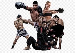 แทงมวยมือถือ