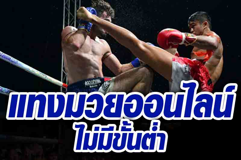 เว็บแทงมวย